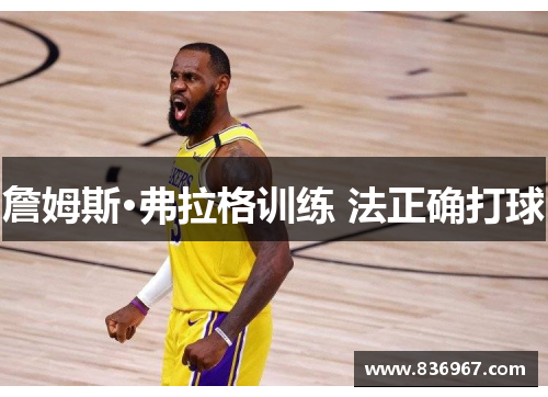 詹姆斯·弗拉格训练 法正确打球